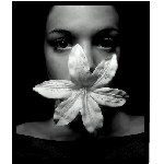 blossom01.jpg
Poet zobrazen: 2384 (6551.9493 dn) pr.=0.3639
Rozmr: 343 x 402 pixel
Velikost: 38.21 kB