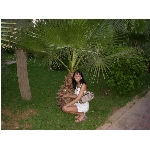 Iveta 