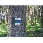 m145_4512.jpg
Poet zobrazen: 3730 (6565.3263 dn) pr.=0.5681
Rozmr: 1600 x 1200 pixel
Velikost: 679.248 kB