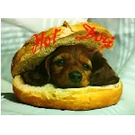 hotdog.jpg
Poet zobrazen: 3684 (6563.8173 dn) pr.=0.5613
Rozmr: 550 x 403 pixel
Velikost: 24.509 kB