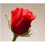if-04257.jpg
Poet zobrazen: 3329 (6567.6350 dn) pr.=0.5069
Rozmr: 350 x 300 pixel
Velikost: 14.471 kB