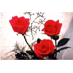 jf-02869.jpg
Poet zobrazen: 3767 (6569.1646 dn) pr.=0.5734
Rozmr: 350 x 233 pixel
Velikost: 28.413 kB