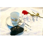 rose8h.jpg
Poet zobrazen: 3735 (6569.1623 dn) pr.=0.5686
Rozmr: 373 x 251 pixel
Velikost: 13.608 kB